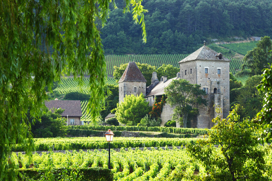 Viagem pelos vinhedos franceses